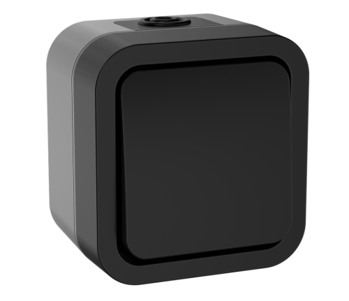 Переключатель 1кл. 10А IP55 TS101 графит IEK	