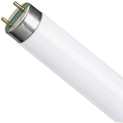 Лампа люминесцентная 18Вт/640 230В (25шт) Osram