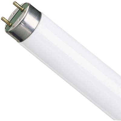 Лампа люминесцентная Osram 36Вт/765 230В (25шт)***