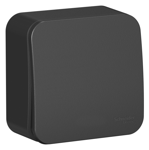 Выключатель 1кл Blanca о/п Антрацит 10А с изол. пл. BLNVA101016