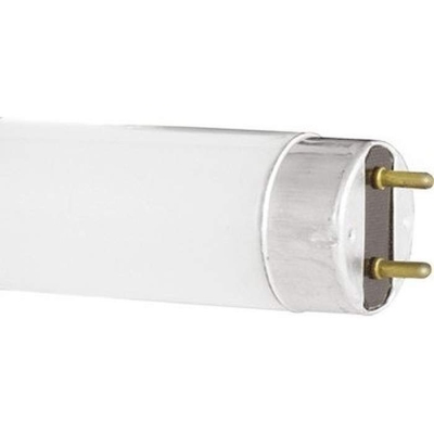 Лампа люм. FT8-10W/54 Camelion (25/200)