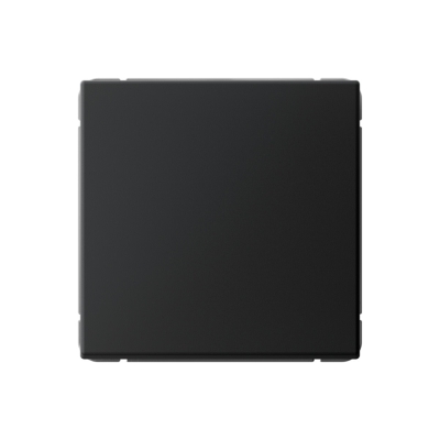 ARTGALLERY 1-клавишный ВЫКЛЮЧАТЕЛЬ, сх.1, 10АХ, КАРБОН